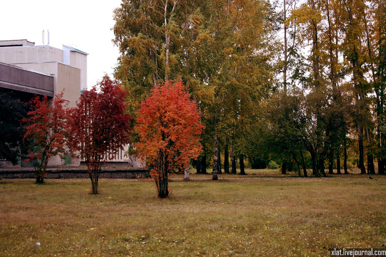 autumn-trees_40754134441_o.jpg