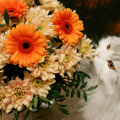 Chunya & flowers