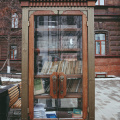 Красноярск. Книжный шкаф
