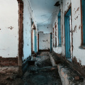 abandoned-in-legostaevo_50318845717_o.jpg
