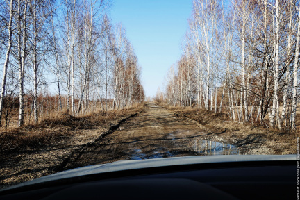 Дорога в Бердск