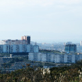 Владивосток. Город с Монастырской сопки
