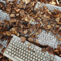 Keyboards. Autumn
