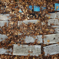 Keyboards. Autumn