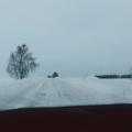 winter-roads_51885472401_o.jpg