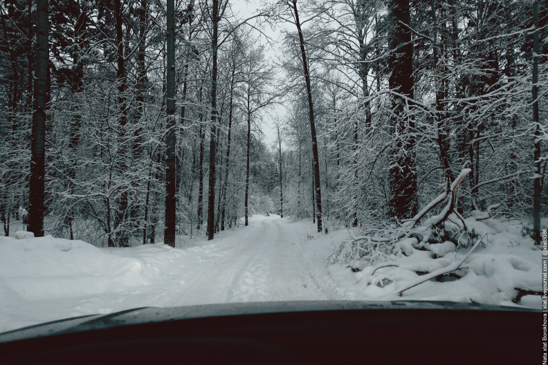 winter-roads_51885473541_o.jpg