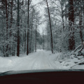 winter-roads_51885473541_o.jpg