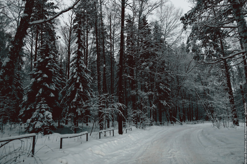 winter-roads_51885795439_o.jpg