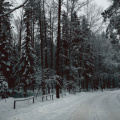 winter-roads_51885795439_o.jpg